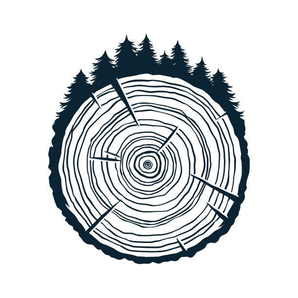 木材纹理年轮切片树桩图片下载