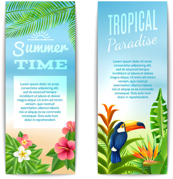 热带夏季横幅图片下载
