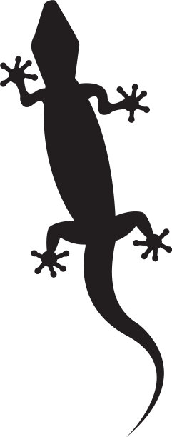 蜥蜴图标标志和符号模板图片下载