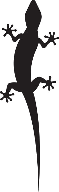 蜥蜴图标标志和符号模板图片下载