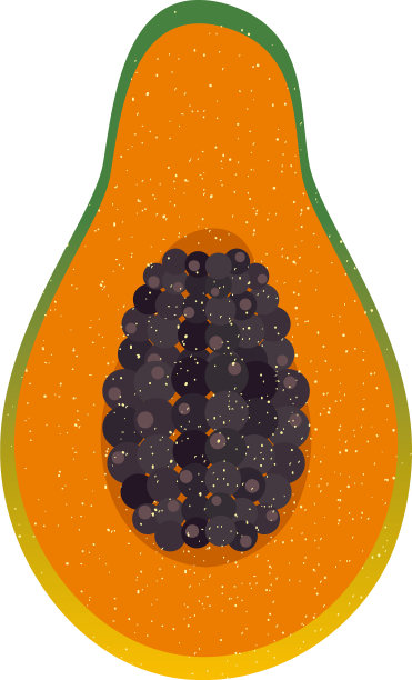 木瓜水果图标设计图片下载