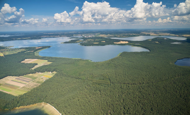 洁净生态自然背景图片下载