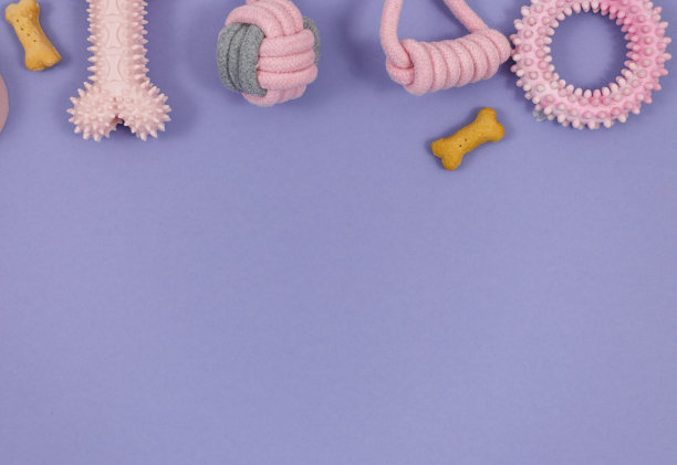 为你的狗狗准备一套粉色饰品:碗，玩具，球，骨头，零食，紫色背景。宠物护理和宠物主人的培训图片下载