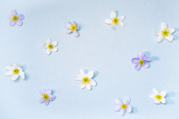 时髦的夏季花卉图案。现代花卉，夏季背景。蓝色背景上五颜六色的小野花。图片下载