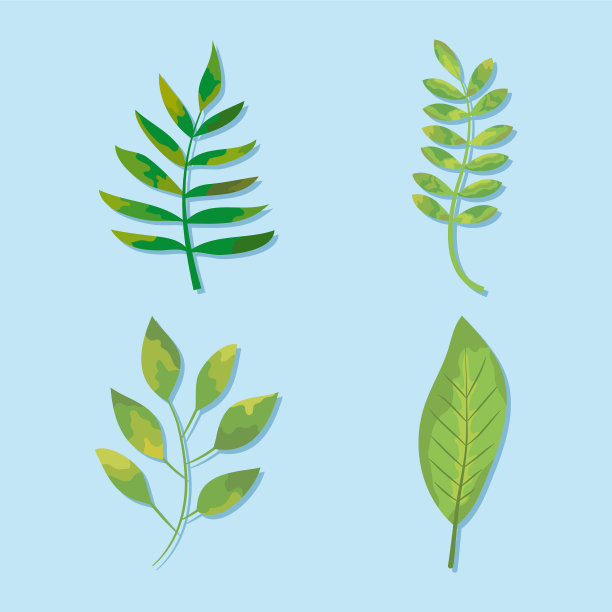 异国情调的叶子图标设置丰富多彩的设计图片下载