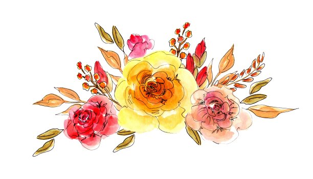 黄玫瑰花束，水彩手绘，孤立，白色背景。婚礼请柬设计元素，波西米亚风格标志。图片下载