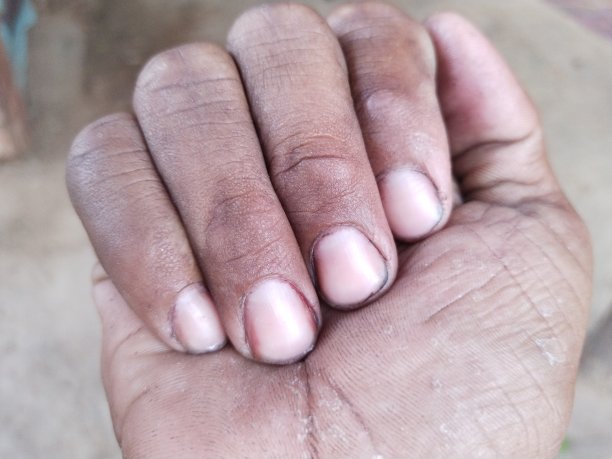 手的背景图片下载