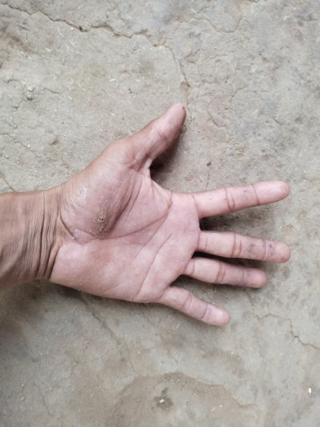 手的背景图片下载