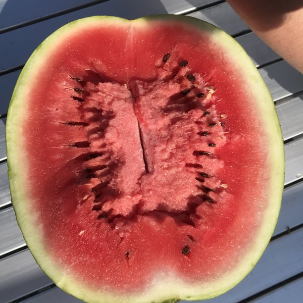 一块西瓜图片下载