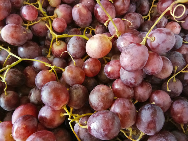 一堆红葡萄图片下载