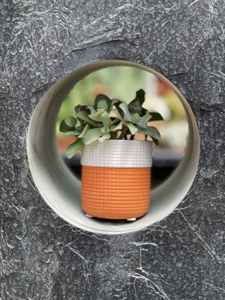 垂直拍摄的一个小植物在一个可爱的花盆设置在一个洞的石头墙图片下载