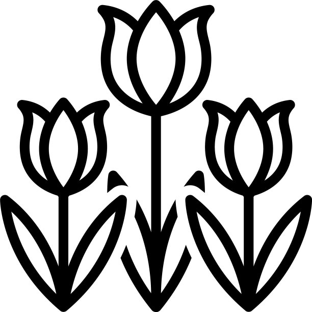 郁金香图片下载