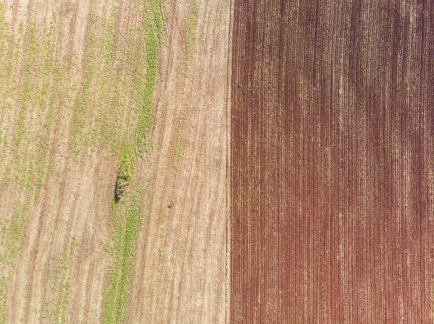 准备种植的耕地和生地在田间的对比图片下载