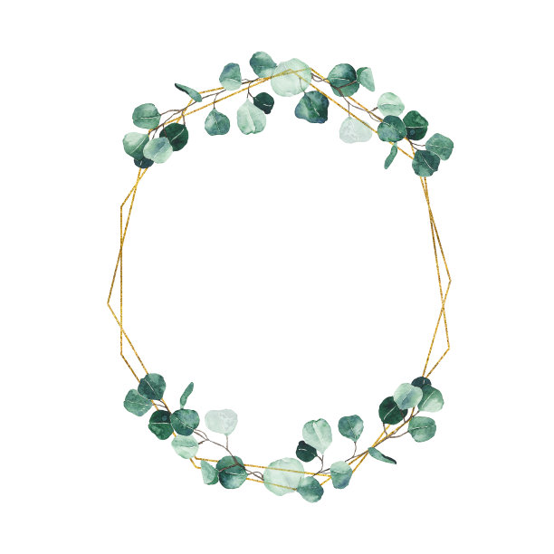 水彩桉树金色花环与绿色的叶子孤立在白色的背景。手绘银元桉树金框架枝绿叶。花的叶子，草本植物说明图片下载
