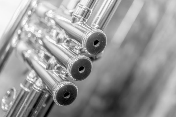 小号乐器。包含整个乐器的照片。天然木材的背景。图片下载