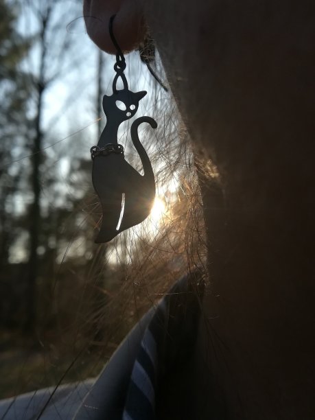 猫珠宝图片下载