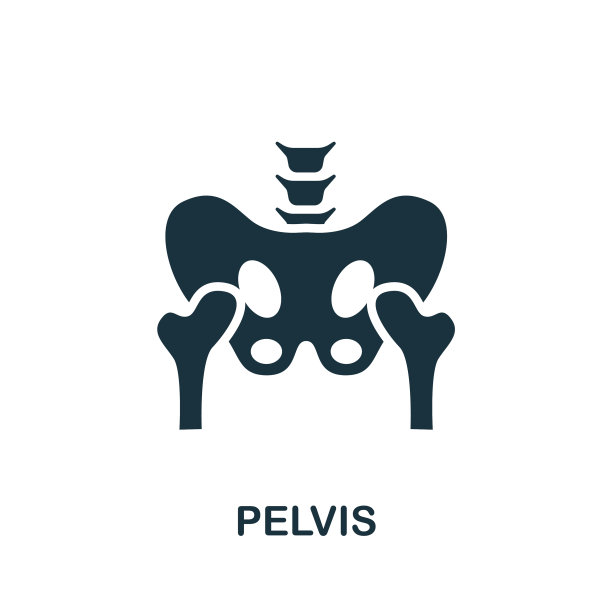 骨盆图标来自内部器官的简单元素图片下载