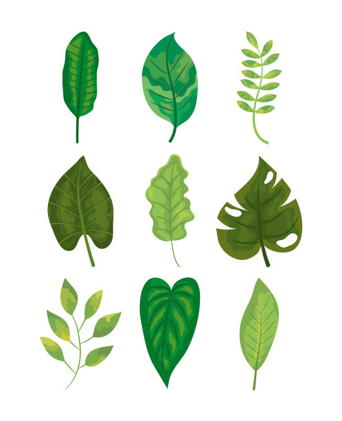 图标设置绿色的叶子五颜六色的设计图片下载