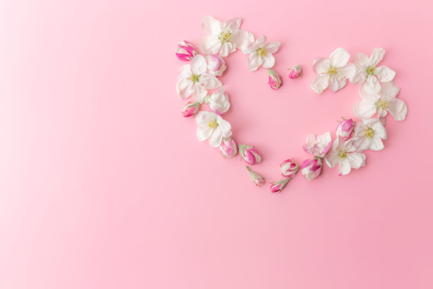 平铺在粉红色的背景与苹果花心形装饰边框图片下载