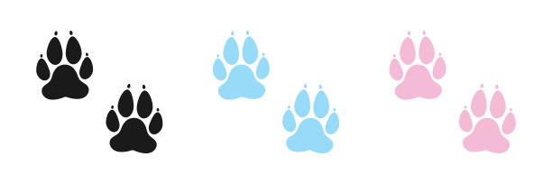 动物爪子图标设置。平面设计。矢量插图。图片下载