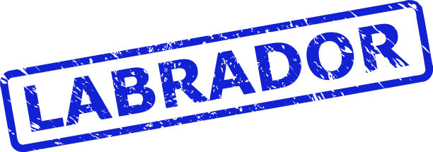 拉布拉多犬印章，有危难表面和圆形图片下载