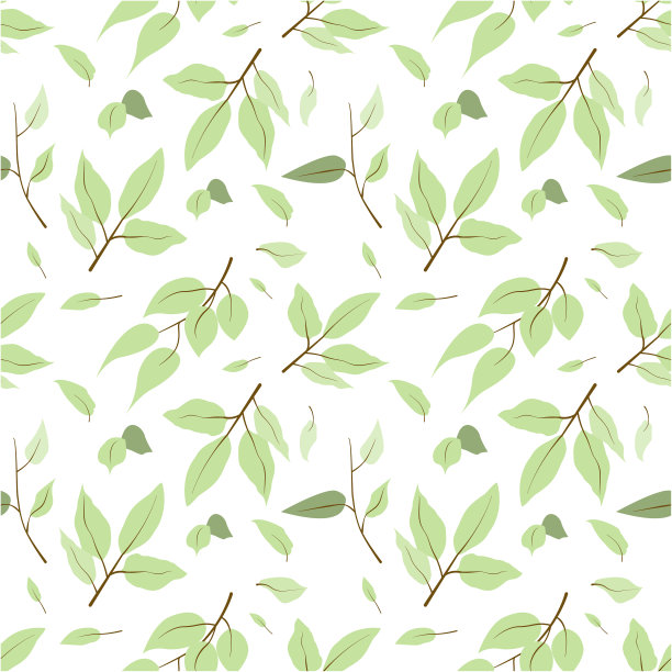 无缝绿叶图案在白色背景。美丽的墙纸树枝上绿叶概念自然矢量插图。图片下载