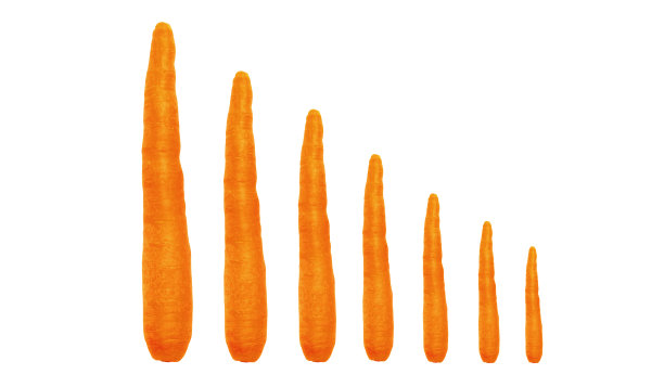 胡萝卜，孤立在白色背景上图片下载