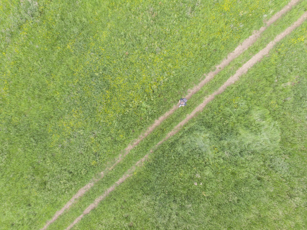 成年徒步旅行者喜欢在春天在美丽的绿色大自然中徒步旅行。图片下载