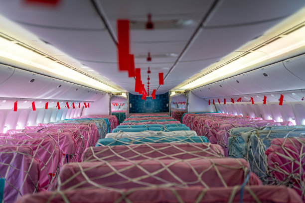 用作货物的空飞机图片下载