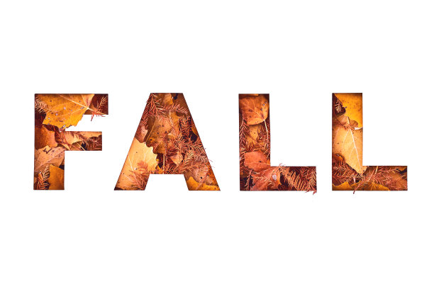 剪纸的秋天文字填满了黄色和橙色的秋叶纹理图片下载