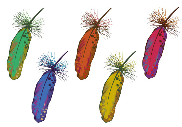白色背景上的羽毛向量集。不同颜色的羽毛。图片下载
