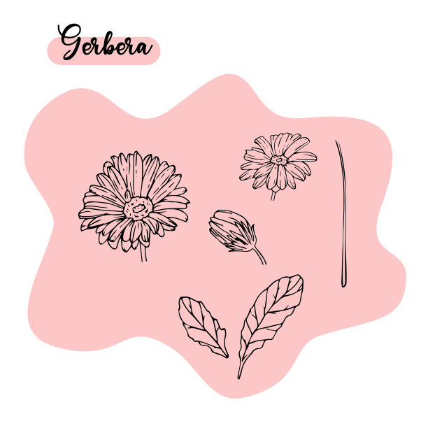 艺术音箱图片下载