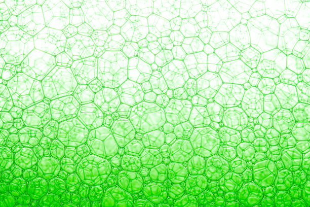 浅绿色背景特写油滴在水中。含气泡液体表面的微距照片。结构水纹的明亮设计。图片下载