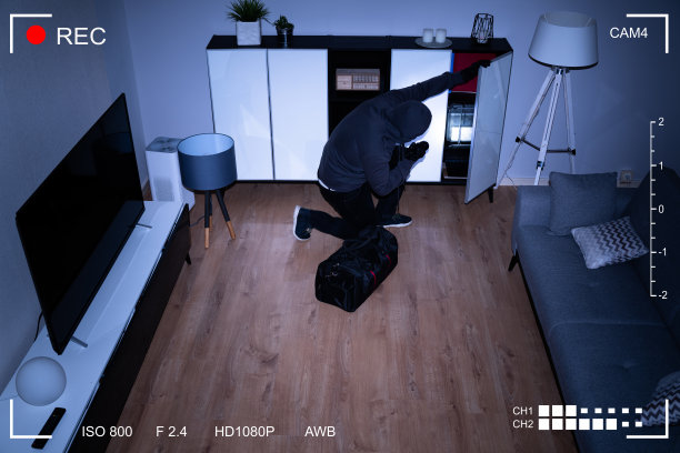 闭路电视监控录像显示入侵者图片下载