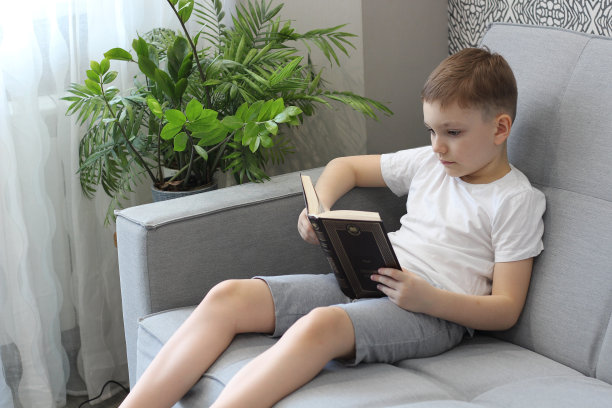 一个7-8岁穿着白色t恤的可爱男孩坐在沙发上看书。浅白灰照片图片下载