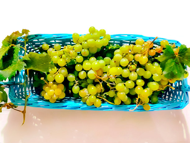 篮子里的白葡萄图片下载