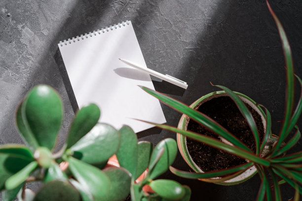 一张粗糙的黑色桌子，一张打开的空白笔记本，一支白色的钢笔和一盆植物。在家工作的概念。记事本模型。窗外的自然光。前视图。平的。副本的空间。图片下载