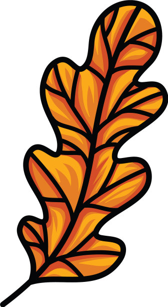 绿叶集eps 10图片下载