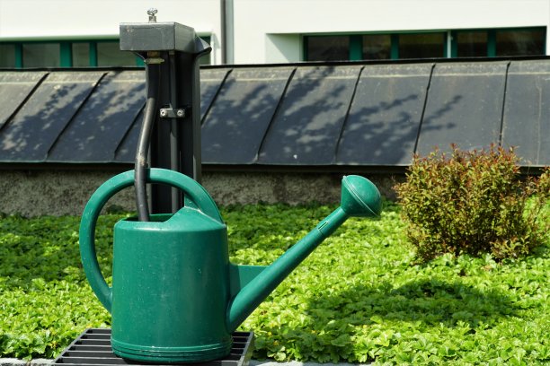 绿色的塑料喷壶放在一个墓地的自来水站。图片下载