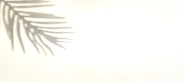 花影夏日背景。在抽象的热带阳光纹理中，白色墙壁上的植物叶影。空棕影黄色纹理图案。图片下载