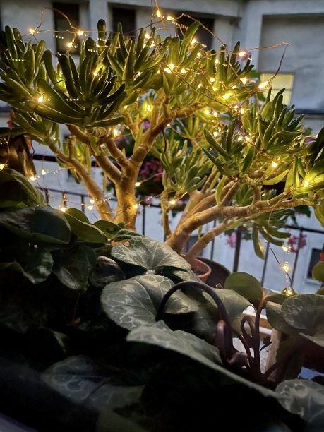 幸福的基石图片下载