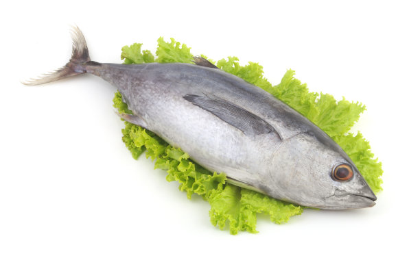 生金枪鱼和沙拉隔离图片下载