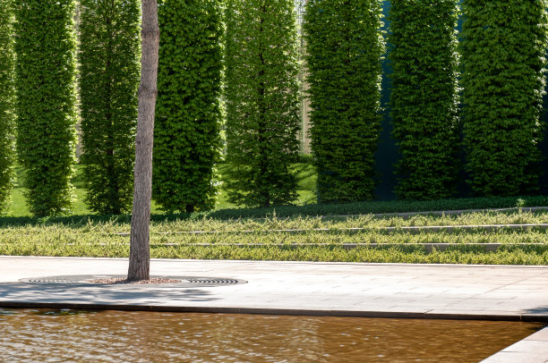 市中心的公共广场，空的马路。公园内的小路，阳光下的树木。空旷的广场地板和城市公园的绿色森林图片下载