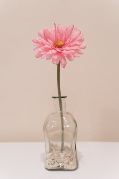 粉红色的花用于室内装饰图片下载