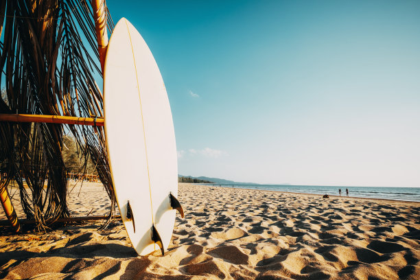 就像是在海滩上冲浪。图片下载