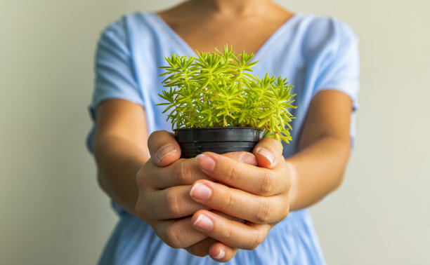 一位身穿蓝色连衣裙的妇女手里拿着一棵绿色的小植物，并把它递给了相机。图片下载