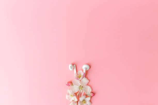 平躺在粉红色的背景与苹果花装饰和耳机图片下载