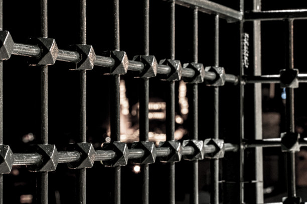 铁栅栏后的清真寺图片下载