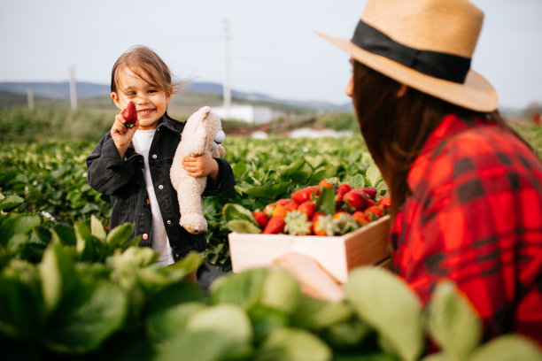 妈妈和女儿在草莓地里玩得很开心图片下载