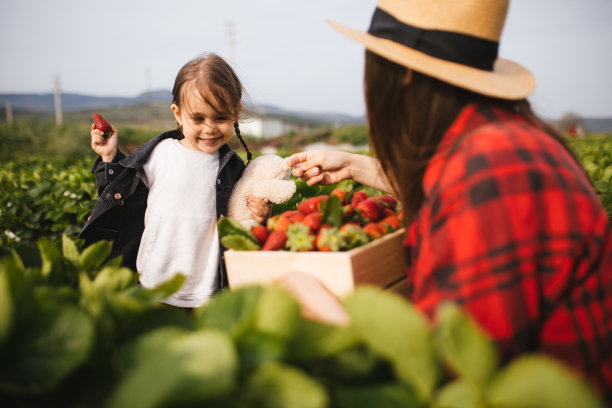 妈妈和女儿在草莓地里玩得很开心图片下载